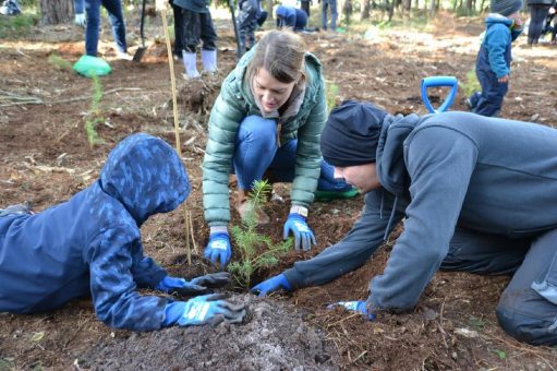 1.200 neue Bäume für die heimischen Wälder