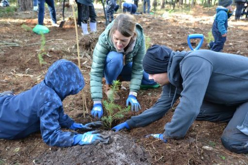 Herbstzeit ist Root Camp-Zeit – proFagus forstet wieder auf!