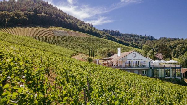 Hochkarätige Wein-Events im Althoff Grandhotel Schloss Bensberg