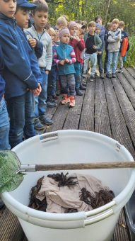 Biologiestunde im Freien in Kloster Irsee