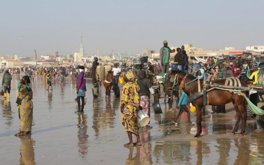 Credendos Ausblick für Senegal bleibt in herausforderndem Umfeld stabil