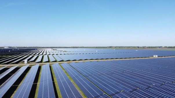 GOLDBECK SOLAR beginnt mit dem Bau von 45 MWp in Buinerveen – insgesamt werden 146 MWp an das Tennet-Netz angeschlossen