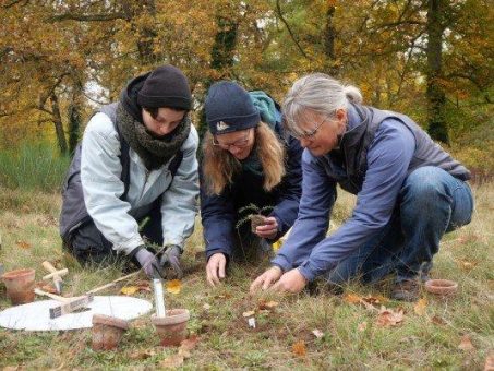 Rettung für bedrohte Pflanzen – Neues Artenschutzprojekt auf der Pfaueninsel