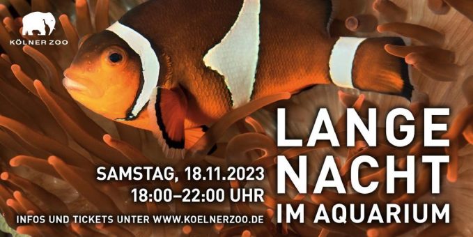 „Lange Nacht im Aquarium“:  Nachwuchs bei den stark gefährdeten Vietnamesischen Krokodilschwanzechsen