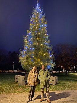 Weihnachtliches Flair am Allersee