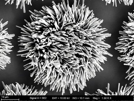 Kleinste Kontakte für maximale Leistung: Neue Verbindungstechnologie mit Nanodrähten setzt Maßstäbe für High-Performance Elektronik