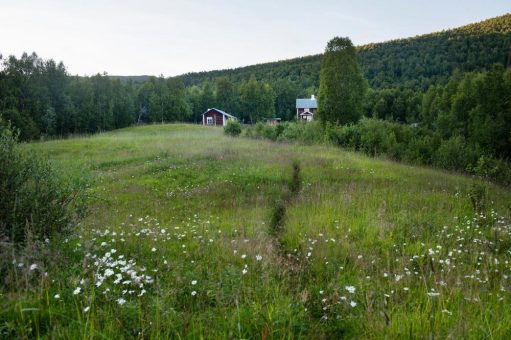 Luxuriös anders: Kostenlose Wanderhütten in Schweden