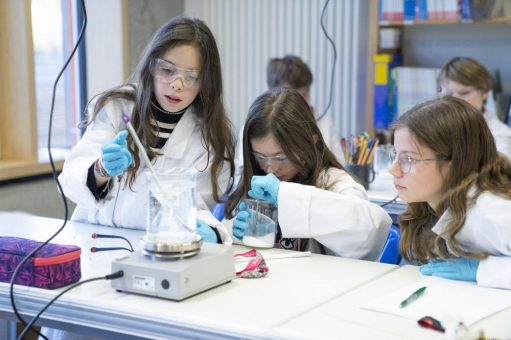 Schulkinder für Wissenschaft begeistern: Kristallprojekt mit dem Fraunhofer IISB an der Montessori Schule Herzogenaurach