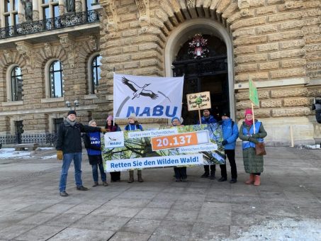 Über 20.000 Stimmen für den „Wilden Wald“