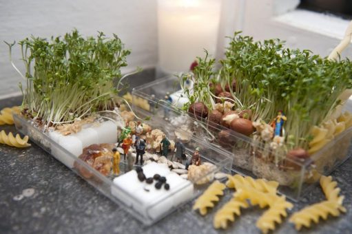 miniaturen – Kunst im Kleinen