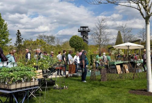 Pflanzenschätze und Gartenschnäppchen im Park der Gärten