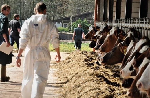 Fütterungscontrolling im Milchkuhbetrieb: Einzigartiges AVA-Fortbildungskonzept für Tierärzte und Landwirte