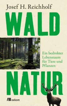 Buchankündigung: »Waldnatur. Ein bedrohter Lebensraum für Tiere und Pflanzen«