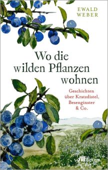 Buchankündigung: »Wo die wilden Pflanzen wohnen. Geschichten über Kratzdistel, Besenginster & Co.«