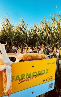 FARMORITZ ist Deutschlands Nr. 1: Die meistangebaute Maissorte 2023 kommt aus Everswinkel