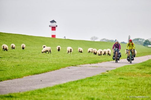 Neue Webseite für den Nordseeküsten-Radweg