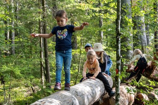 Neue Wanderwege für Familien im Schwarzwald