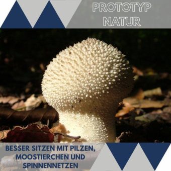 Prototyp Natur: Besser sitzen mit Pilzen, Moostierchen und Spinnennetzen