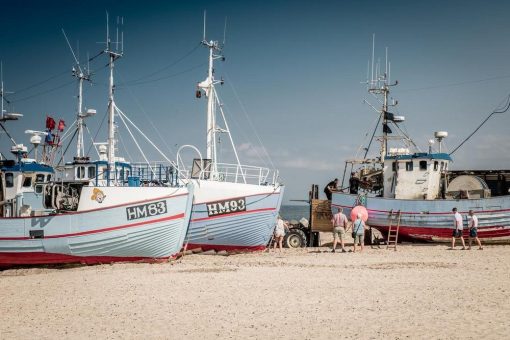 Nachhaltigkeitsfestival an der dänischen Nordsee