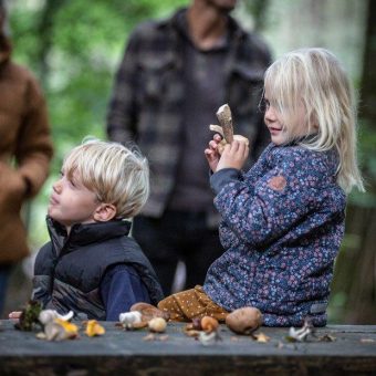 Wer sucht, der findet: Pilzwoche an der dänischen Nordsee