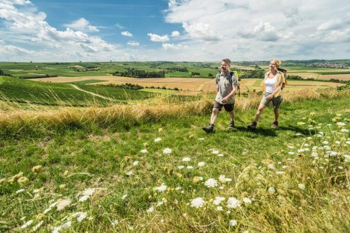 Zwischen Urmeer und Rebenmeer in Rheinhessen