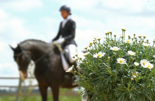 Das Fürstliche Gartenfest auf dem Hofgut Kranichstein: Zahlreiche Highlights zum Auftakt der neuen Saison – Große Gartenkunst trifft auf herausragenden Reitsport