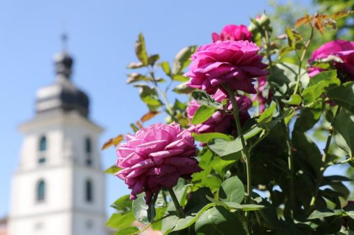 Das Fürstliche Gartenfest 2023