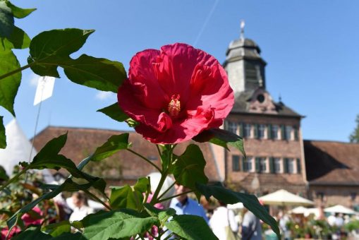 Auf Schloss Wolfsgarten und auf Schloss Fasanerie zusammen mit FEINWERK