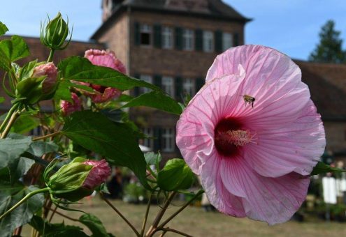 Vier einzigartige Erlebnisse in zwei Jahreszeiten