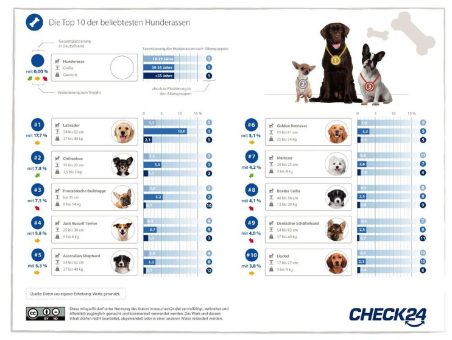 Beliebteste Hunderassen Deutschlands: Labrador baut seinen Vorsprung aus
