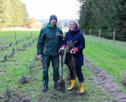 15 Jahre HZV: Hausärzteverband Baden-Württemberg  pflanzt 222 Bäume zwischen Schwäbischer Alb und Schwarzwald