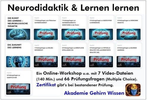 Neuer Online-Workshop „Neurodidaktik und Lernen lernen“ für Trainer, Coaches und Weiterbildungsprofis