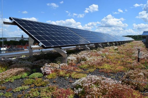 Gewerkeübergreifende Weiterbildung Gründach-PV-Kombination startet