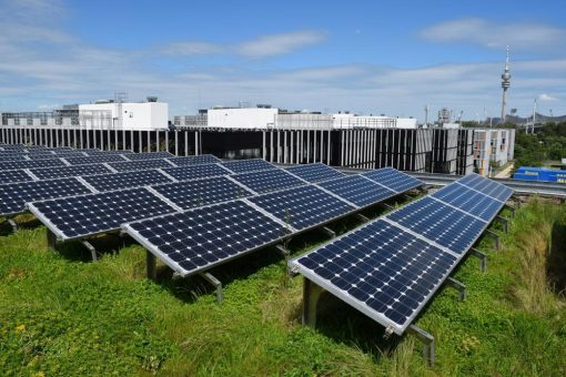 Gründach mit Solaranlage: Projekt entwickelt gewerkeübergreifende Schulung