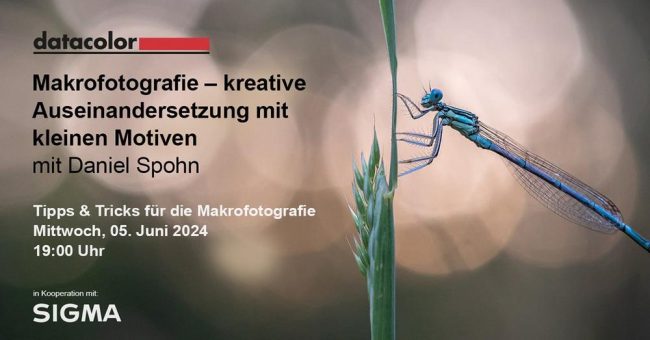 Kostenloses Datacolor-Webinar zur Makrofotografie mit Daniel Spohn in Kooperation mit SIGMA