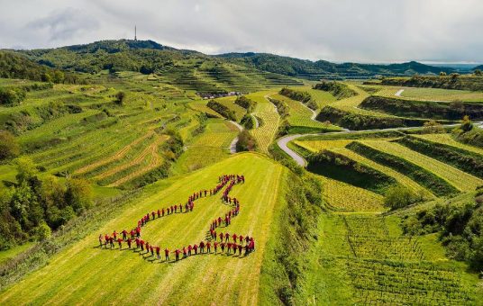 100 Jahre Leidenschaft für Terrassen-Weinbau