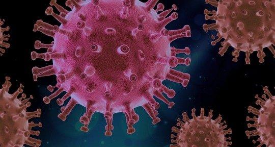 Coronavirus-Erkrankung:   Was sollten Organtransplantierte beachten?