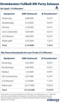 EM-Party im eigenen Garten: So hoch sind die Stromkosten