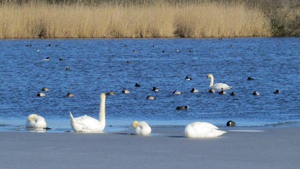 Der Federsee ist über den Berg