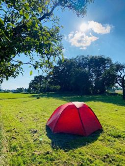 Neue Trekkingplätze in der Moselregion – ab sofort buchbar