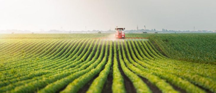 Pauschalierung in der Landwirtschaft: Weitere Absenkung auf 7,8 Prozent?