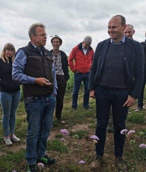 Mehr Wildpflanzen für einen stabilen Naturhaushalt!