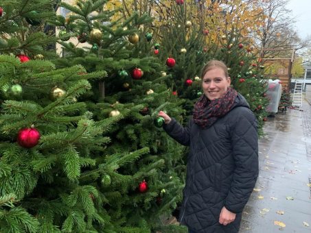 40 Weihnachtsbäume in der Bielefelder Innenstadt