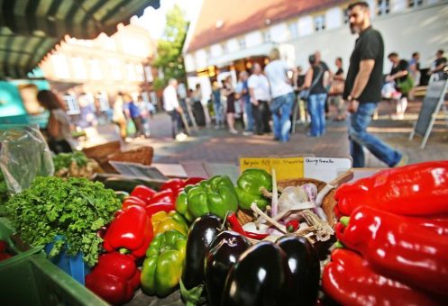 Sommer ohne Abendmarkt und Sparrenburgfest