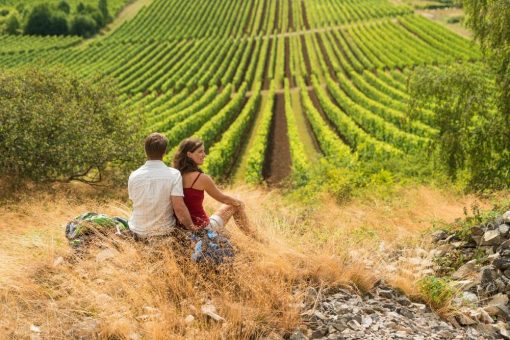 Sommerwandern im Weinland Rheinhessen: Unterwegs auf der Hiwweltour Heideblick