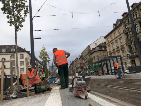 Die Kriegsstraße wird mit jedem Tag grüner