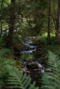 Geführte Wanderung