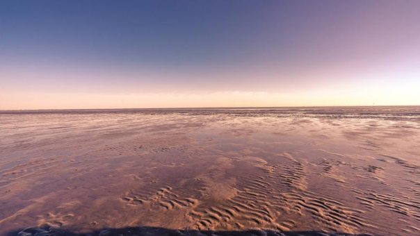 Geführte Wattwanderung zum Sonnenaufgang im Nordseebad Otterndorf