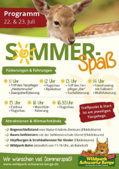 Sommerspaß im Wildpark Schwarze Berge