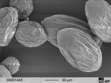 Problembewusstsein zu Mikroplastik in der Umwelt